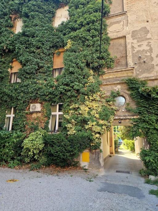 Olden House-Central Apartment-Parking Záhřeb Exteriér fotografie